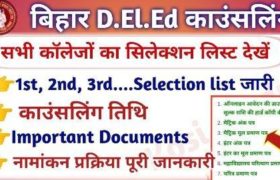 Bihar DElEd Selection Merit List