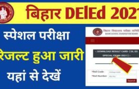Bihar DElEd Special Exam Result 2021