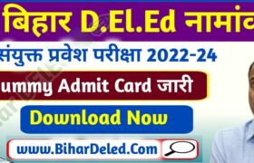 Bihar DElEd Dummy Admit Card 2022