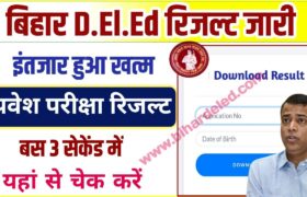 Bihar DElEd Score Card 2022