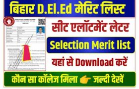 Bihar DElEd Merit List 2022